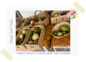 Photo of fresh produce basket from Marigot - Golden Grove Farm - Saint Martin on All Things Sint Maarten